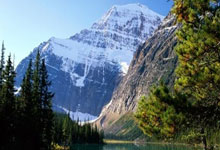 ​油价大涨，想省钱就买比亚迪插混！