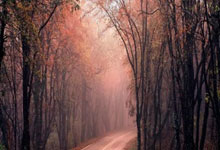 2026 户外照明与智能交通设备领域 全国专业实力企业参考